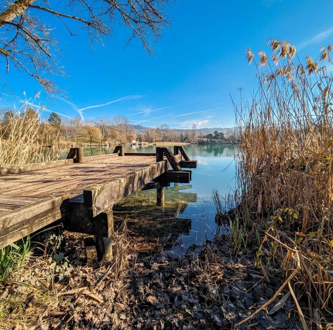 Studio Entre Lacs Et Montagnes Rumilly  Bagian luar foto